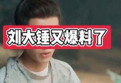 刘大锤的最新爆料是什么,揭秘娱乐圈惊人内幕