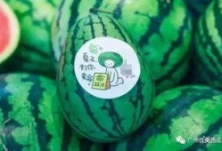 古茗新瓜最新爆料,揭秘神秘新品背后的故事