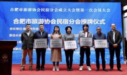 合肥企业爆料事件最新进展,最新进展揭示真相与后续行动